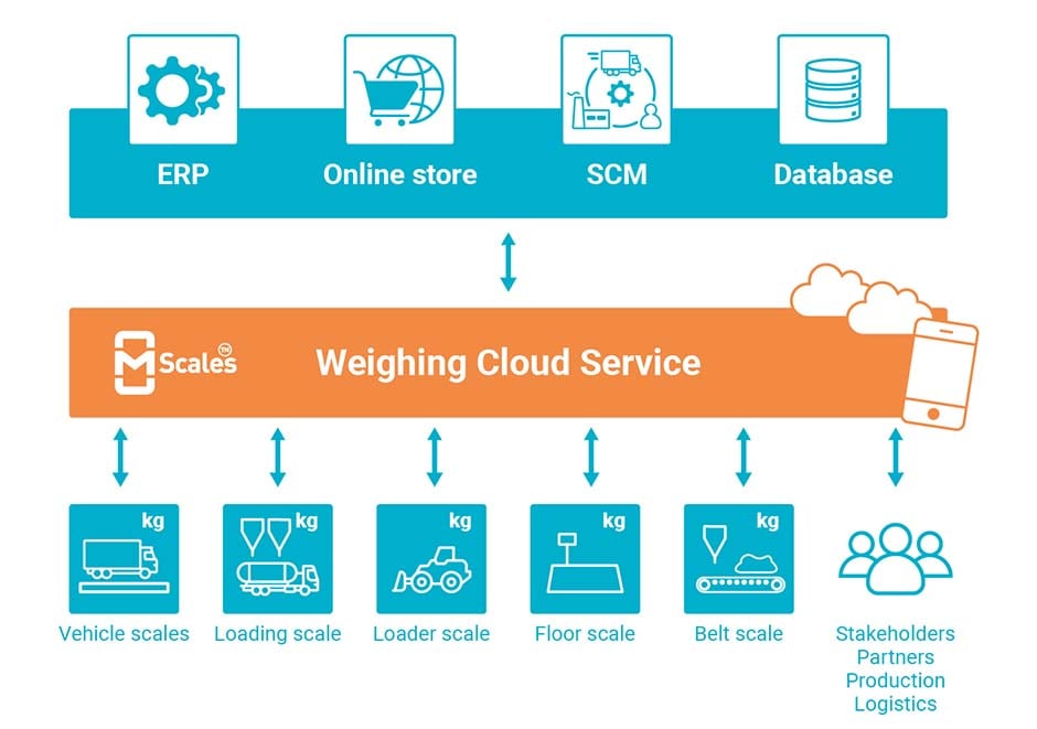 mScales_moder_weighing_system
