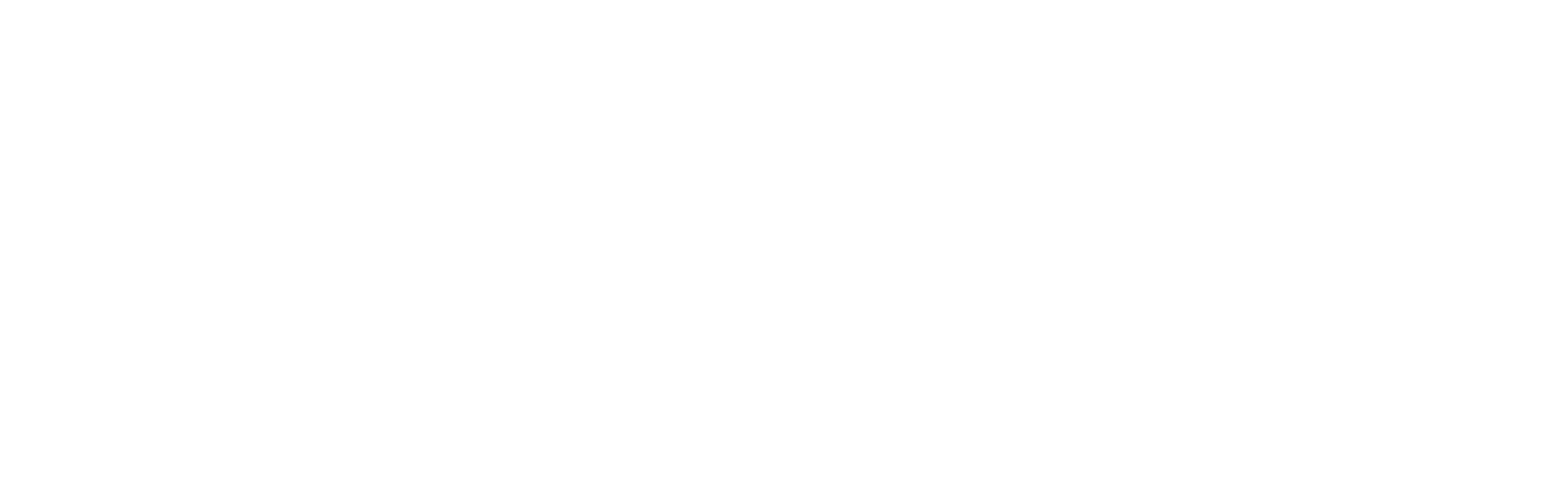 Finnsementti_logo_white