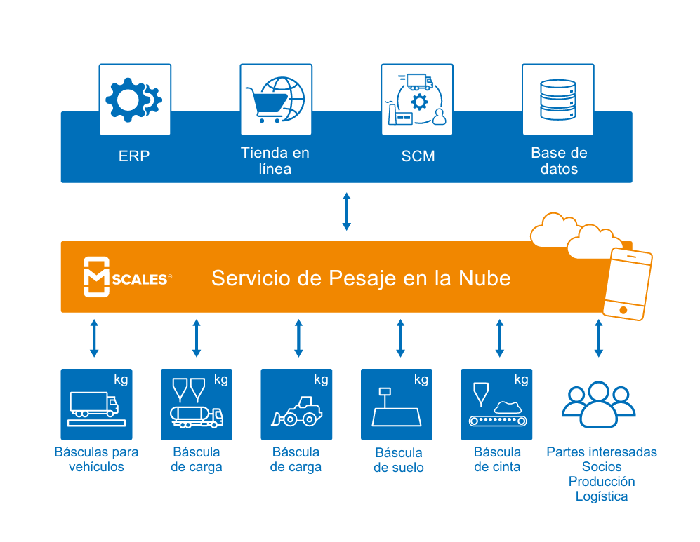 mScales_ES