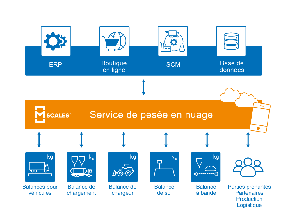 mScales_FR