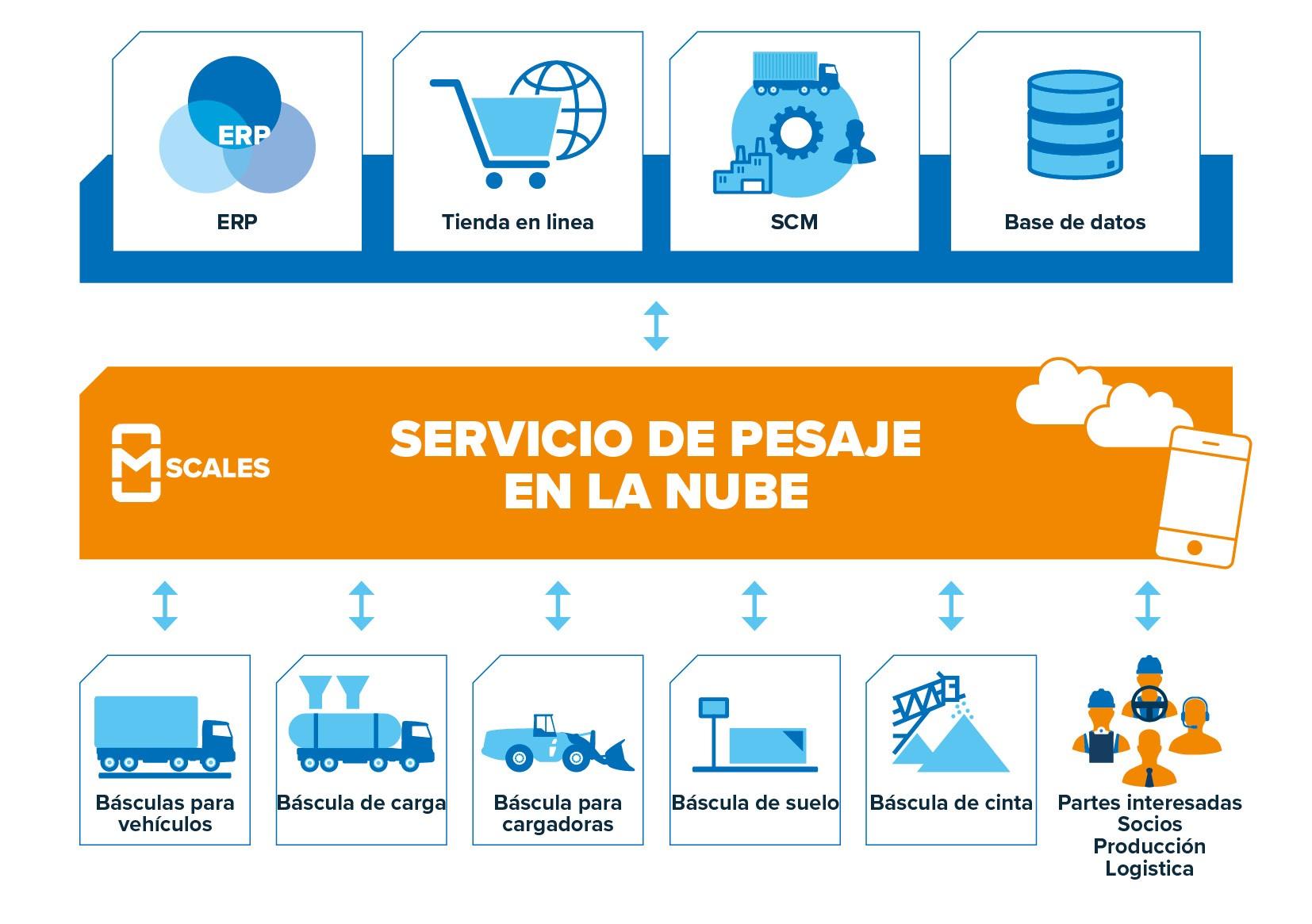 Servicio-de-pesaje-mScales_ES